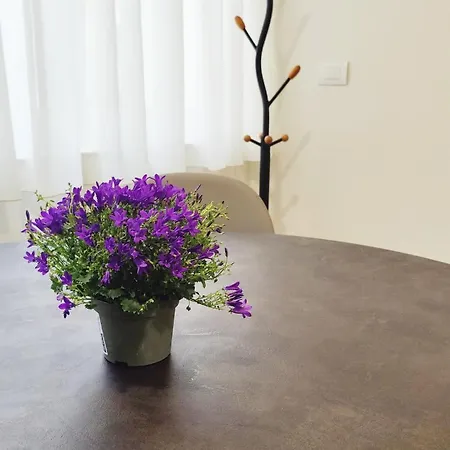 Apartment Fantasia Bologna